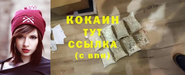 мдпв Богданович