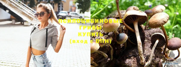 крисы Бугульма