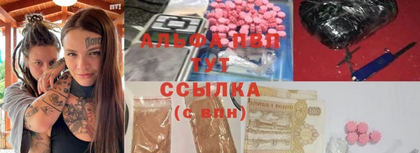 таблы Бородино