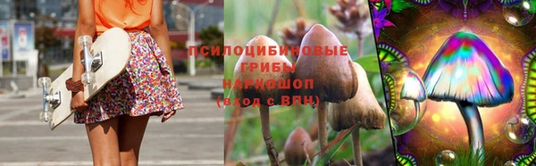 крисы Бугульма