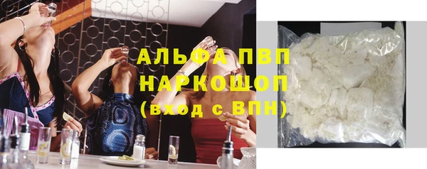 таблы Бородино