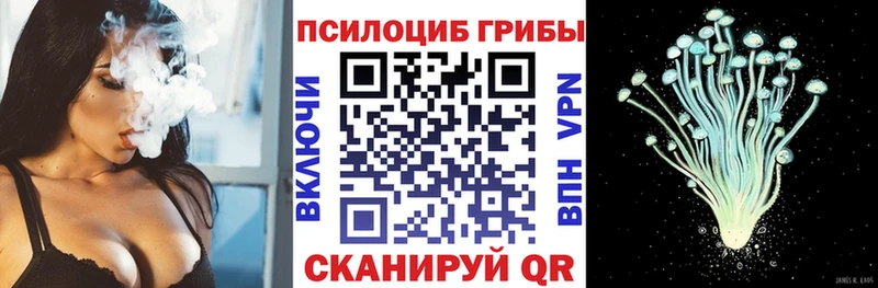 Псилоцибиновые грибы прущие грибы  Городовиковск 