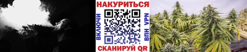 МАРИХУАНА семена  площадка как зайти  Городовиковск  мега онион 